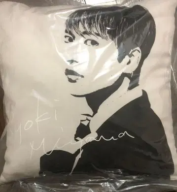 미야마 료키 쿠션