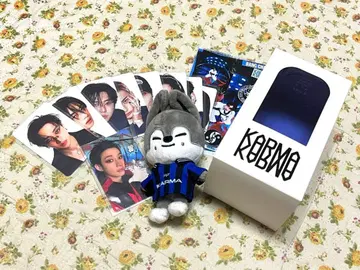 straykids KARMA SKZOO 울프 찬