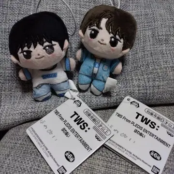 TWS From PLEDIS ENTERTAINMENT  2개 세트