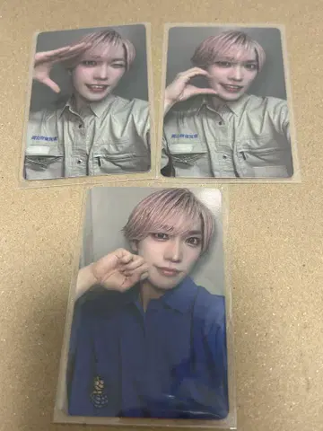 팬더드래곤 파라곤 하피카 폴라로이드 트레이딩 카드 타이거 토부 동물공원