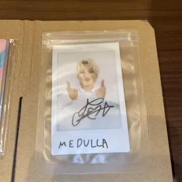 BUDDiiS medulla 친필 사인 폴라로이드 FUMIYA