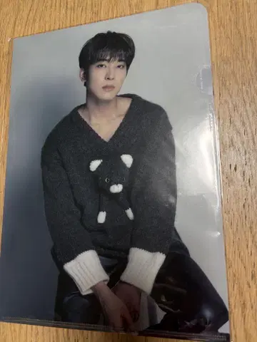 D'FESTA TOKYO seventeen 원우 클리어 파일