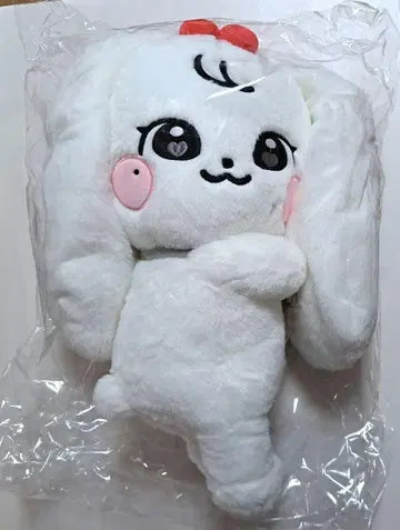 IVE MINIVE SCHOOL POPUP 허그백 원영 체리