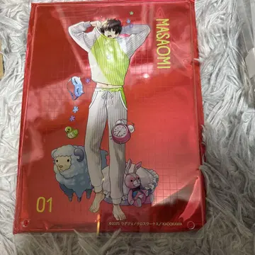 브라콤 스이파라 포춘 복권 A상 미야비