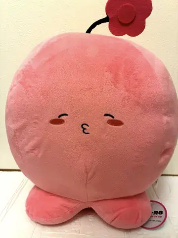타코피의 원죄 타코피 BIG 봉제 인형 해피 꽃