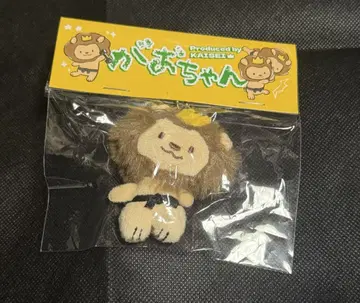 가오짱 타케치 카이세이 멘프로