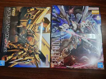 RG 아카츠키 건담 & MG 프리덤 건담