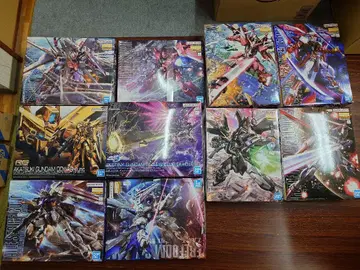 기동전사 건담 SEED DESTINY MG, RG, HGCE 각종 10점