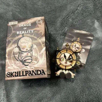 SKULLPANDA IMAGE OF REALITY 피규어