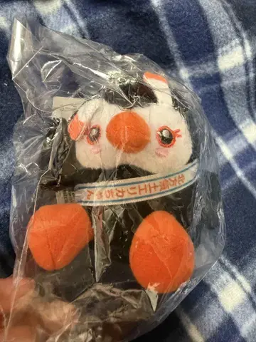 북방 영토 리카짱