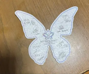 BUTTERFLY EFFECT 2025 fantastics 메시지