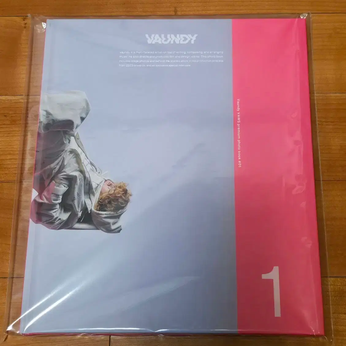 Vaundy VAWS premium photo book #01