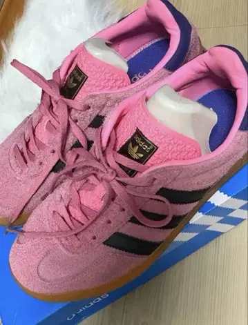 gazelle pink