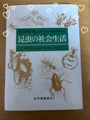 곤충의 사회생활 윌리엄 M. 호일러 저