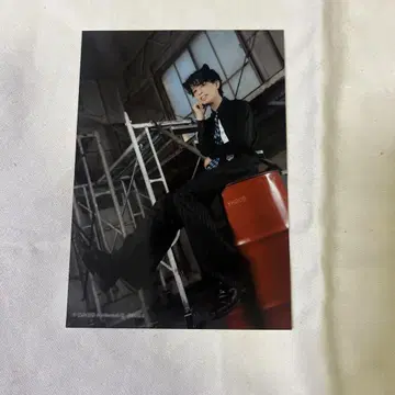 집사 카페 스왈로우테일 할로윈 페어 브로마이드 코타키