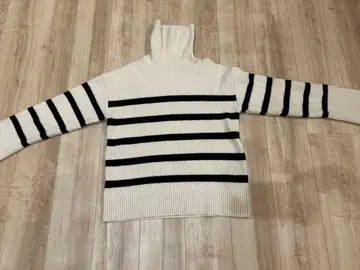 ZARA 스트라이프 터틀넥 니트