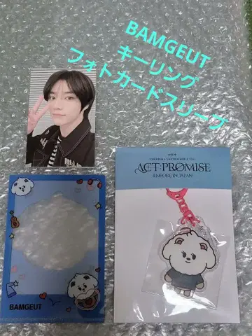 TXT KEYRING BAMGEUT 사진 카드 슬리브 범규 트레카 포함