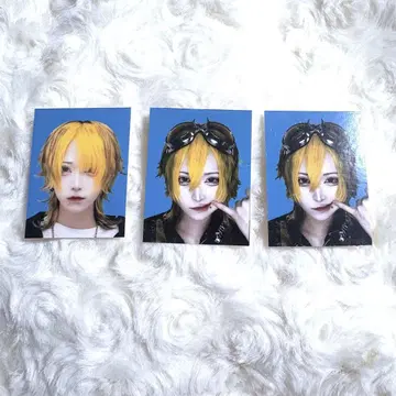 마도메도 원숭이 말 호랑이 증명사진