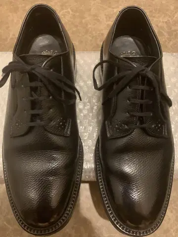 리걸 플레인토우 W104 23.5cm