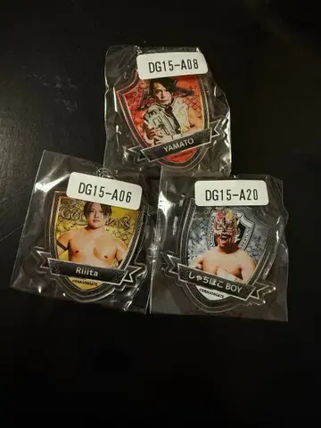 드래곤 게이트 아크링 키링 YAMATO Riiita 샤치호코 BOY