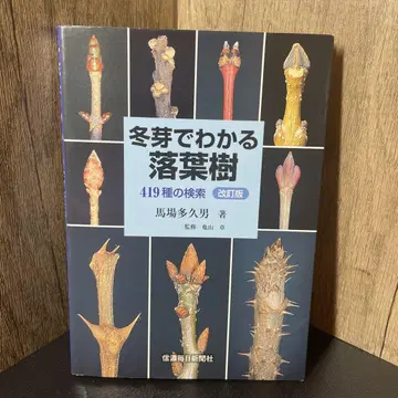 겨울눈으로 알 수 있는 낙엽수 419종 검색