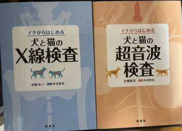 개와 고양이의 X선 검사 초음파 검사