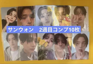 삼원 2주차 트레이딩 카드 10장 컴프 세트