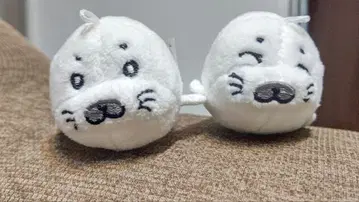 소년 아시베 고마짱 키링 봉제 인형 2개 세트 캔두