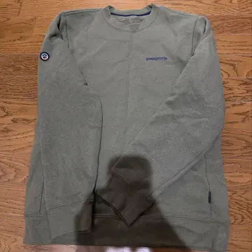 patagonia 피츠로이 아이콘 업라이저 크루 맨투맨
