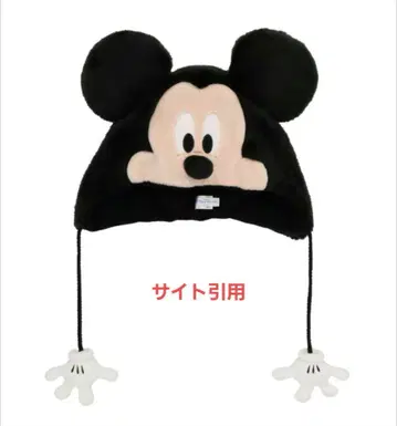 미키마우스 팬캡