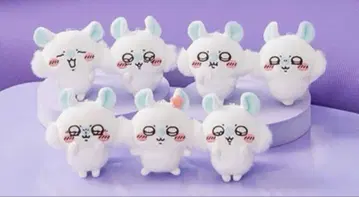 모몽가 투성이 복권 E상 컴플리트 세트