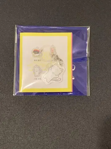 히나타자카46 코사카 나오 메지루시 참 키링