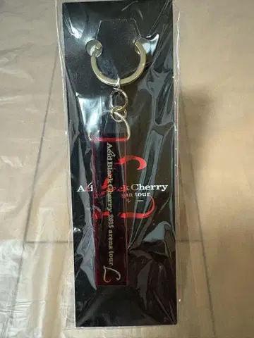 Acid Black Cherry 키링