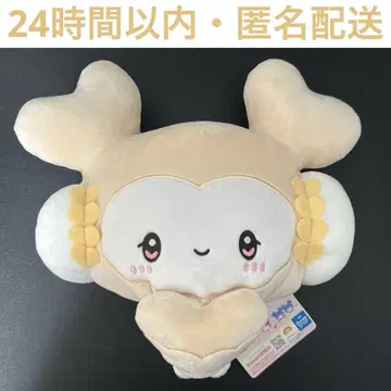 twice gigo 포켓 BIG 봉제 인형 다현 코기뮨