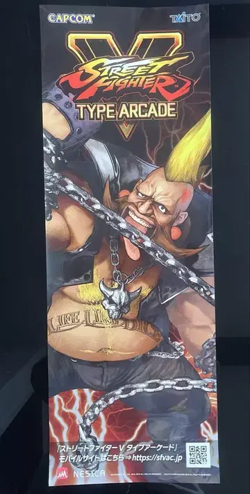 스트리트 파이터 V 단 포스터 버디 CAPCOM