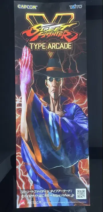 스트리트 파이터 V 단책 포스터 팬 CAPCOM