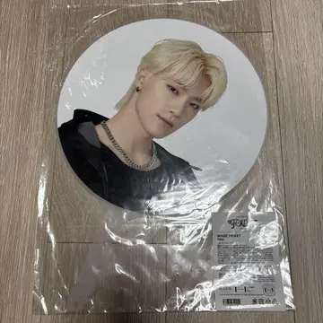 SEVENTEEN 부채 디노