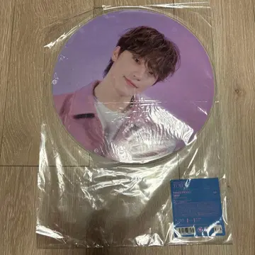 SEVENTEEN 부채 디노