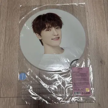 SEVENTEEN 부채 디노
