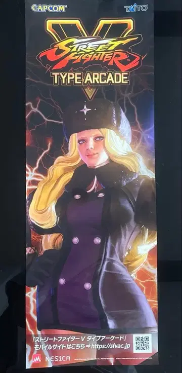 스트리트 파이터 V 단책 포스터 콜린 CAPCOM