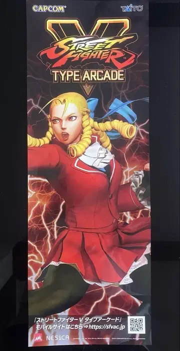스트리트 파이터 V 단 포스터 카미즈키 카린 CAPCOM