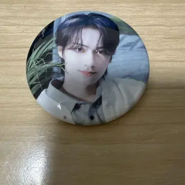 SEVENTEEN 준 소비기한 캔뱃지
