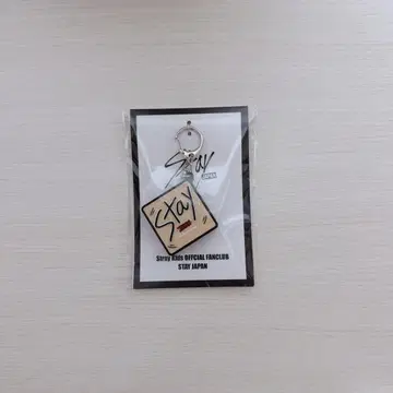 straykids 스키즈 승민 보이스 키링 4기 FC 한정판