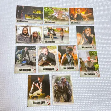 트레이딩 카드 walkingdead 워킹데드 멜, 모건, 대릴
