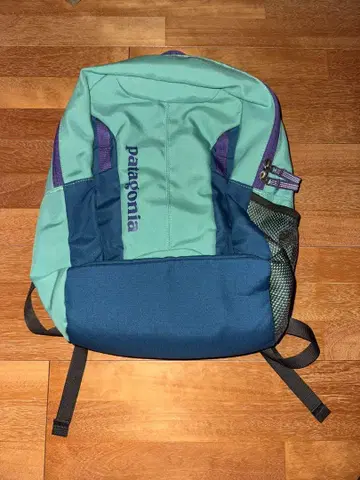 patagonia 파타고니아 백팩 15L