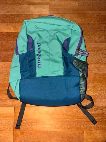patagonia 파타고니아 백팩 15L 그린 블루