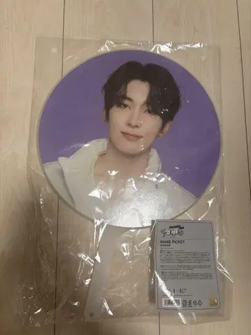 원우 보라색 부채 약 30cm follow again