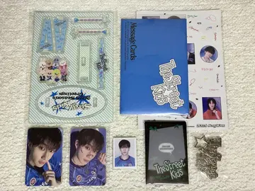 Stray kids 시그 2025 thestreet kids