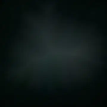 나 보석 참 정말 멋져!!