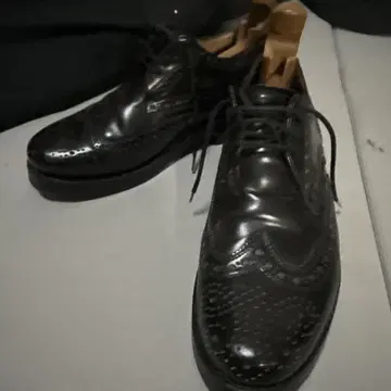 하인리히 딩케라커 리오
